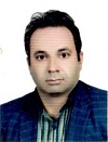 محمد رضا سلیمانپور
